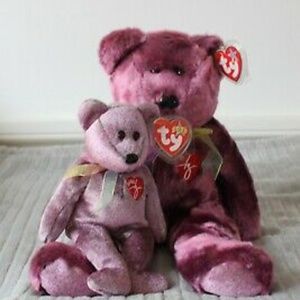 NWT Beanie Baby & Buddy 2000 Signature Bear Mint Condition Ty Brand